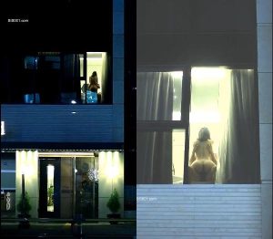 Thằn lằn bám kính mường thanh